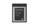 SanDisk PRO-CINEMA Speicherkarte 256 GB