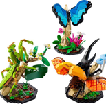 LEGO® Ideas - Die Insektensammlung
