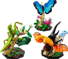 LEGO® Ideas 21342 Die Insektensammlung
