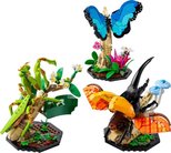 LEGO® Ideas - Die Insektensammlung