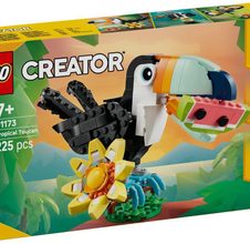 31173