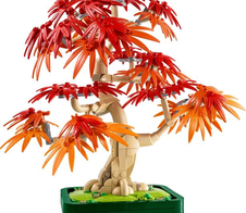 LEGO® Icons 10348 Japanischer Roter Ahorn - Bonsai-Baum