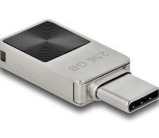 DeLOCK Mini USB-C Speicherstick 256 GB