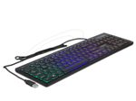 DeLOCK 12625 Tastatur Universal USB QWERTZ Deutsch Schwarz