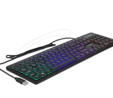 DeLOCK 12625 Tastatur Universal USB QWERTZ Deutsch Schwarz