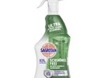 SAGROTAN® SCHIMMELFREI Schimmelentferner 0,75 l
