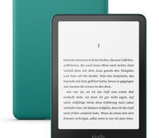 Amazon Kindle Paperwhite 12. Generation eBook-Reader - 16 GB - 17,8 cm (7")