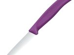 VICTORINOX Küchenmesser Swiss Classic silber, violett