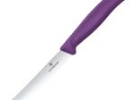 VICTORINOX Frühstücksmesser Swiss Classic silber, violett