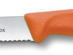 VICTORINOX Frühstücksmesser Swiss Classic silber, orange