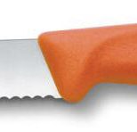 VICTORINOX Frühstücksmesser Swiss Classic silber, orange