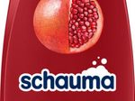 schauma Color Glanz Shampoo 400 ml