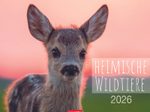 Weingarten Monats-Wandkalender Heimische Wildtiere 2026