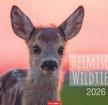 Weingarten Monats-Wandkalender Heimische Wildtiere 2026