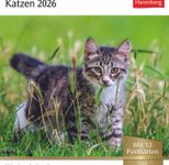 Harenberg Postkartenkalender Katzen