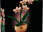 LEGO® Botanicals 10343 Mini-Orchidee