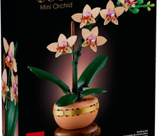 LEGO® Botanicals 10343 Mini-Orchidee