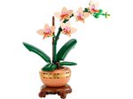 LEGO® Botanicals 10343 Mini-Orchidee