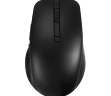 ASUS MD200 Büro Maus Wireless RF, schwarz