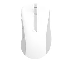 ASUS MD102 Büro Maus Wireless RF, weiß