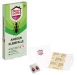 Nexa Lotte® Ameisen-Klebefallen