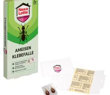 Nexa Lotte® Ameisen-Klebefallen