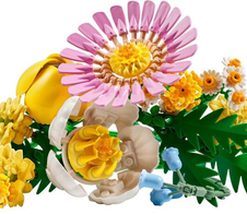 LEGO® Botanicals 10347 Botanicals Kleiner Sommerstrauß