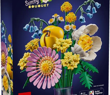 LEGO® Botanicals 10347 Botanicals Kleiner Sommerstrauß