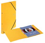 LEITZ Ringbuch 2,50 cm, gelb