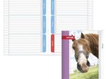 ROTH Hausaufgabenheft für clevere Faule Pferd liniert DIN A5 104 Blätter