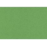 Wekre Trennstreifen grün