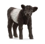 Schleich® Galloway Kalb 13969