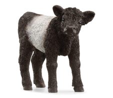 Schleich® Galloway Kalb 13969