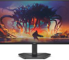 Dell SE2425HG Full HD Gaming Monitor 61 cm (24"), schwarz