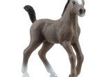 Schleich® Cheval de Selle Francais Fohlen 13957