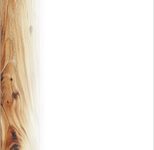 SIGEL Motivpapier weiß, braun DIN A5 90 g/m²