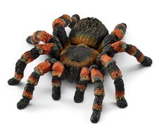 Schleich® Vogelspinne 14829