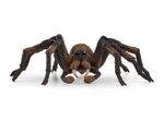 Schleich® Harry Potter™ Aragog 13987