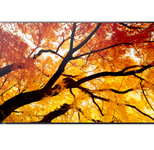 Sharp MultiSync M552 Digital Signage Display 139,7 cm 55 Zoll