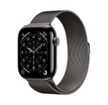 Apple Watch Series 11 Titan Schiefer (GPS + Cellular) 46mm (Milanaise Armband Schiefer) S/M