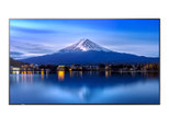 Sharp MultiSync P556 Digital Signage 138,8 cm (55 Zoll)