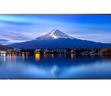 Sharp MultiSync P656 Digital Signage Display 165 cm 65 Zoll