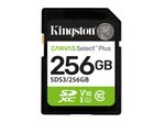 Kingston Canvas Select Plus - Flash-Speicherkarte - 256 GB