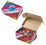 folia Holzperlen BASIC mehrfarbig