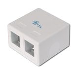 Digitus Konsolidierungs-Punkt Gehäuse für 2x Keystone Module
