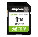 Kingston Canvas Select Plus - Flash-Speicherkarte - 1 TB