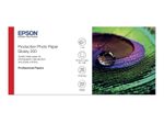 Epson Fotopapier Rolle (610mm x 30m) hochglanz 200 g/m²