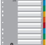 LEITZ Register, Vollformat, blanko, DIN A4