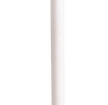 haug® bürsten WC-Bürste weiß ø 6 cm