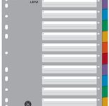 LEITZ Register, Vollformat, blanko, DIN A4